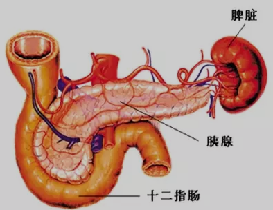 QQ截图20210319132902