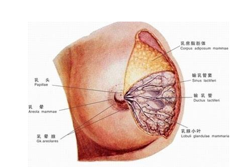 图像 033