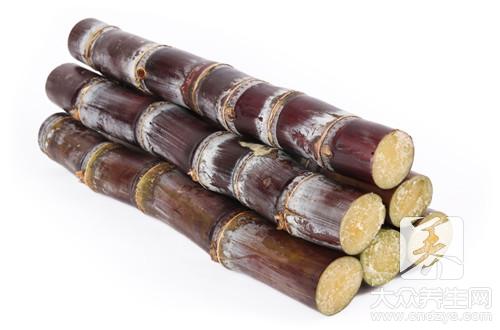  甘蔗汁热量