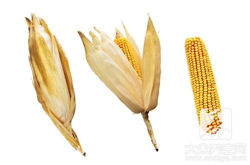 玉米干粮的做法大全