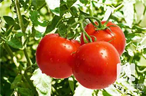 西红柿与前列腺