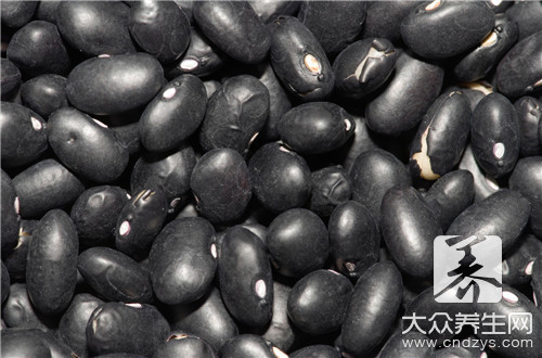  大豆是蚕豆吗