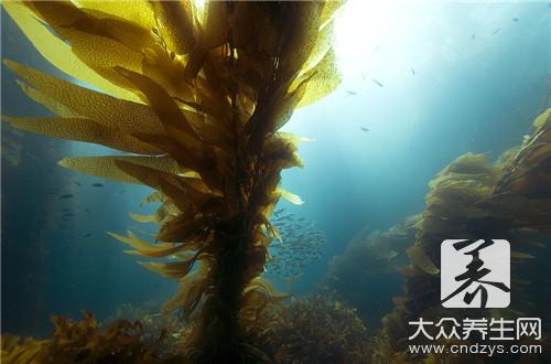  海带片怎么做好吃