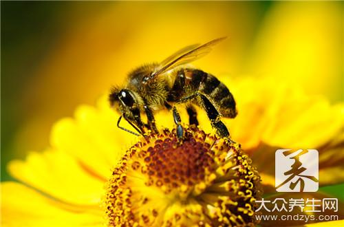  蜂巢蜜保质期