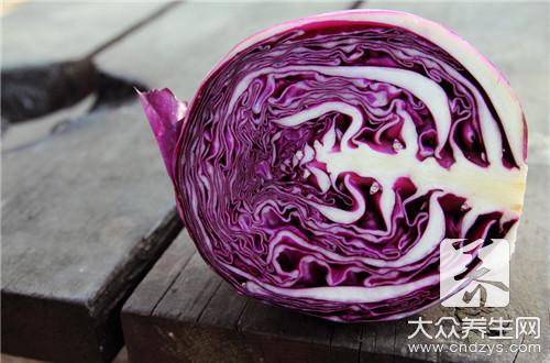紫色的卷心菜叫什么
