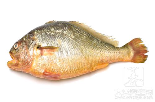 红烧黄鱼最正宗的做法有哪些呢？