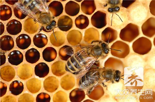 蜂胶对胃病有什么好处