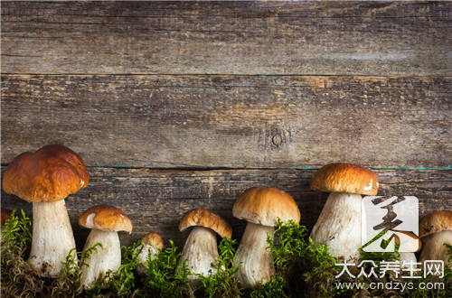 野生蘑菇的功效与作用是什么