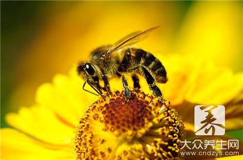  百花蜂蜜怎么样