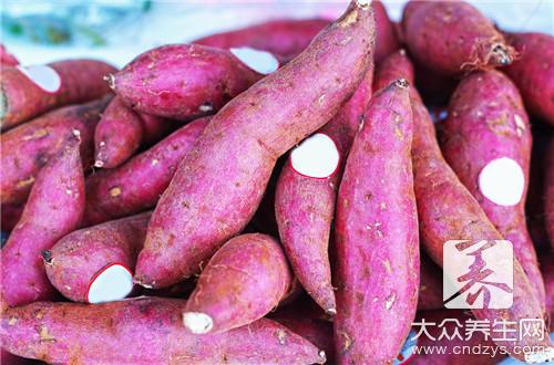  紫红薯是转基因食品吗