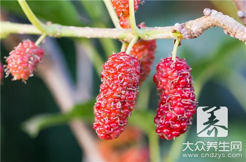  8月大婴儿辅食