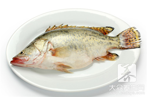 清蒸石斑鱼是哪个地方的菜 