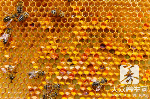马蜂窝怎么吃