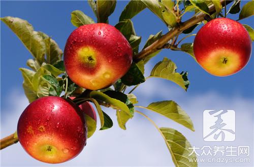 白醋泡苹果可以减肥吗?